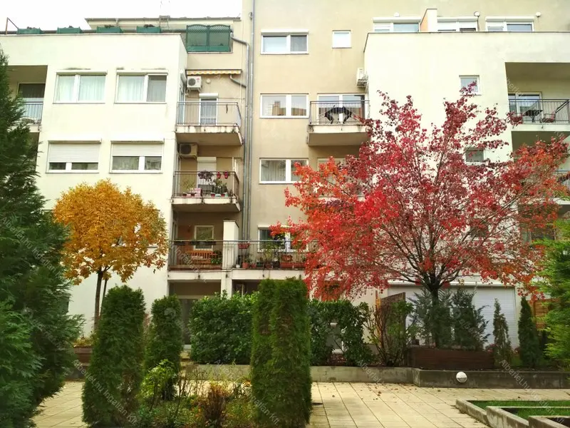 Kiadó albérlet 220000 Ft/hó áron: Budapest, VIII. kerület  Kálvária utca. Mérete: 34 nm, 1 szobás | Alberlet.hu - 6647017