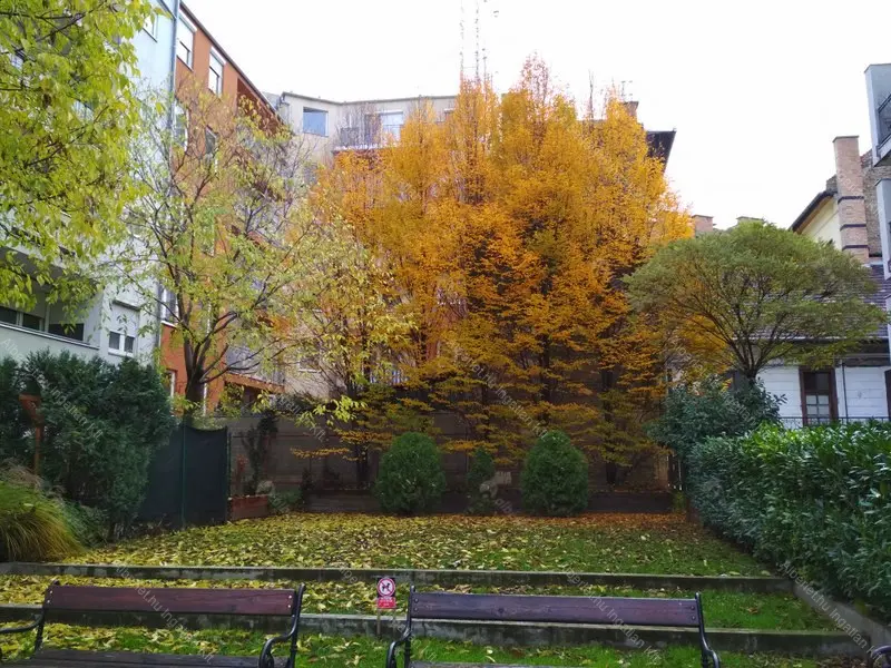 Kiadó albérlet 220000 Ft/hó áron: Budapest, VIII. kerület  Kálvária utca. Mérete: 34 nm, 1 szobás | Alberlet.hu - 6647018