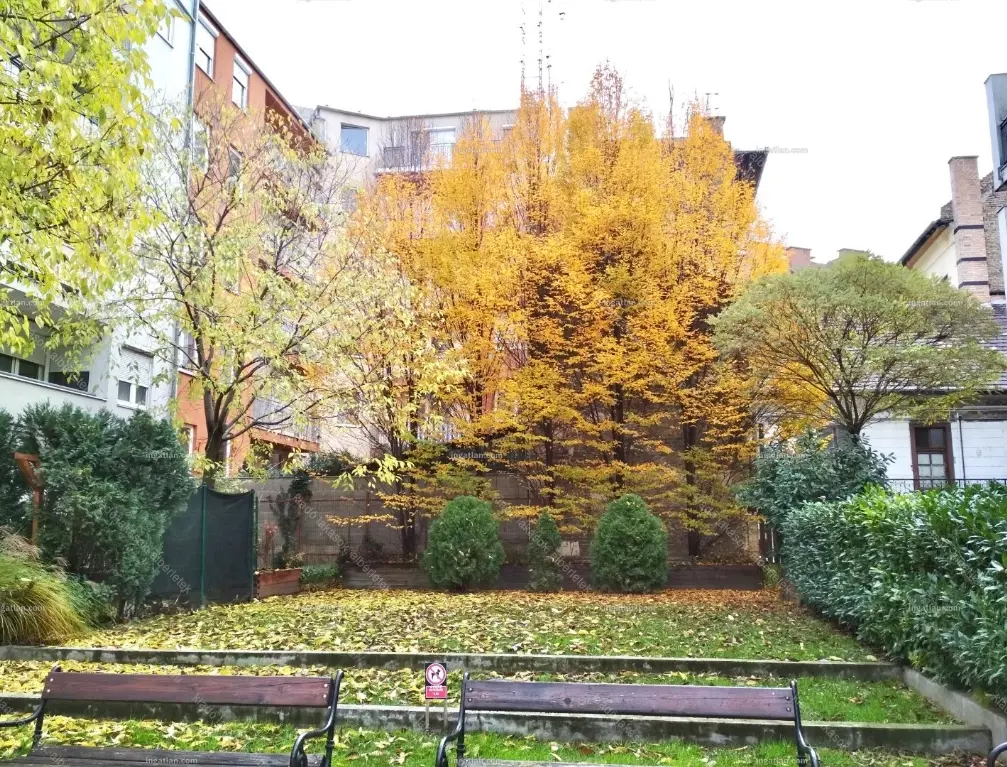 Kiadó albérlet 220000 Ft/hó áron: Budapest, VIII. kerület  Kálvária utca. Mérete: 34 nm, 1 szobás | Alberlet.hu - 6653499