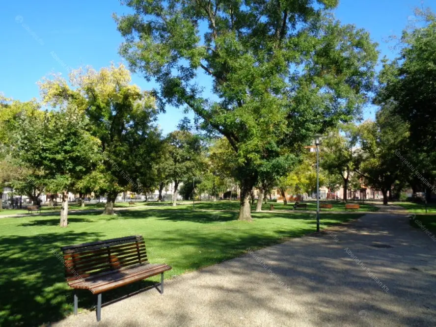 Kiadó albérlet 220000 Ft/hó áron: Budapest, VIII. kerület  Kálvária utca. Mérete: 49 nm, 2 szobás | Alberlet.hu - 6652912