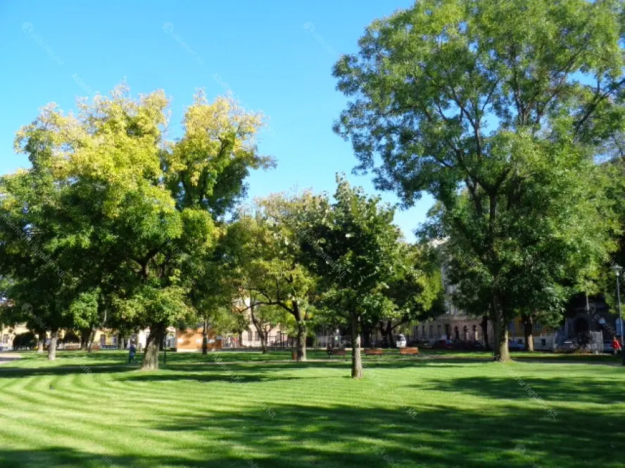 Kiadó albérlet 220000 Ft/hó áron: Budapest, VIII. kerület  Kálvária utca. Mérete: 49 nm, 2 szobás | Alberlet.hu - 6652938