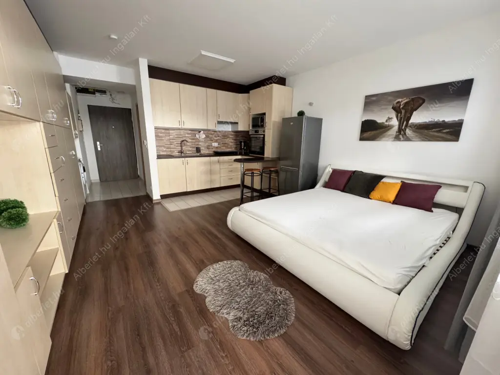 Kiadó albérlet 250000 Ft/hó áron: Budapest, VIII. kerület  Leonardo da Vinci utca. Mérete: 32 nm, 1 szobás | Alberlet.hu - 6599608