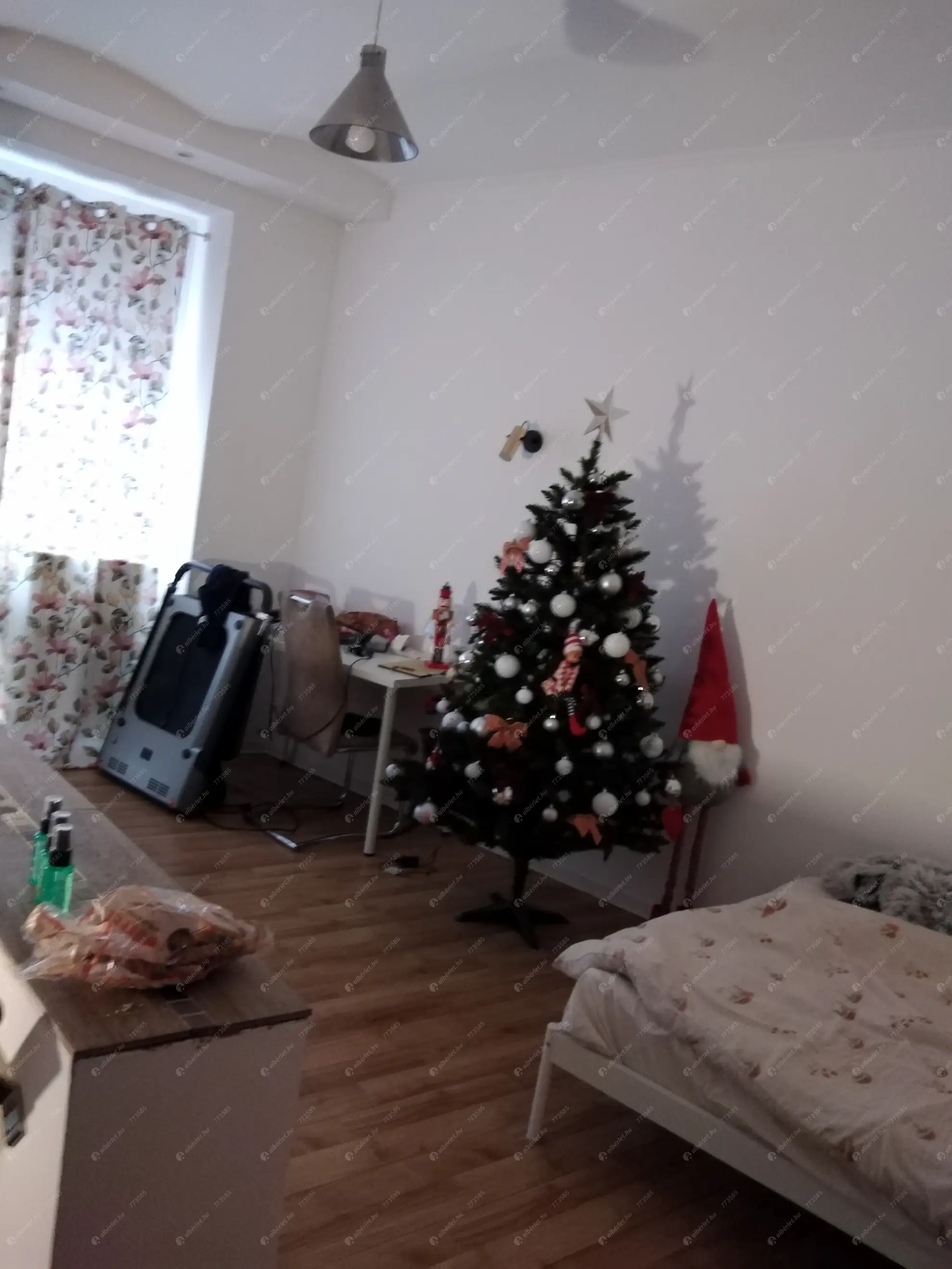 Kiadó albérlet 150000 Ft/hó áron: Budapest, VIII. kerület  Lujza utca. Mérete: 21 nm, 1 szobás | Alberlet.hu - 6633638