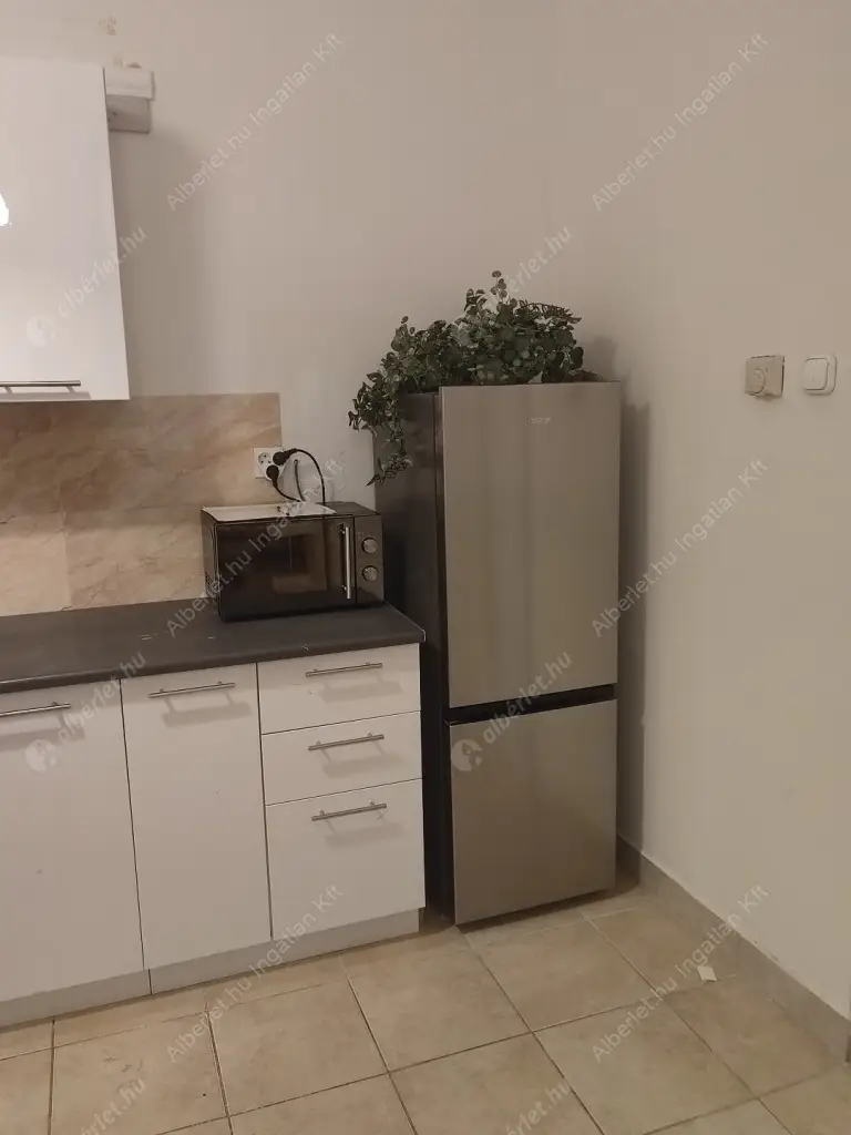 Kiadó albérlet 190000 Ft/hó áron: Budapest, VIII. kerület  Mária utca. Mérete: 30 nm, 1 szobás | Alberlet.hu - 6583114