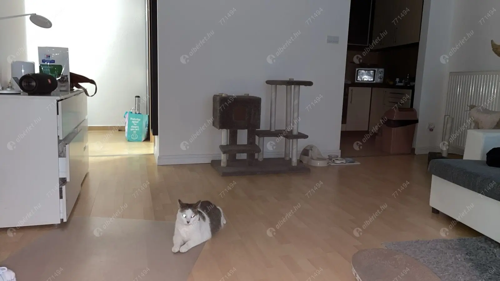 Kiadó albérlet 234000 Ft/hó áron: Budapest, VIII. kerület  Mátyás tér. Mérete: 51 nm, 1 szobás | Alberlet.hu - 6592063