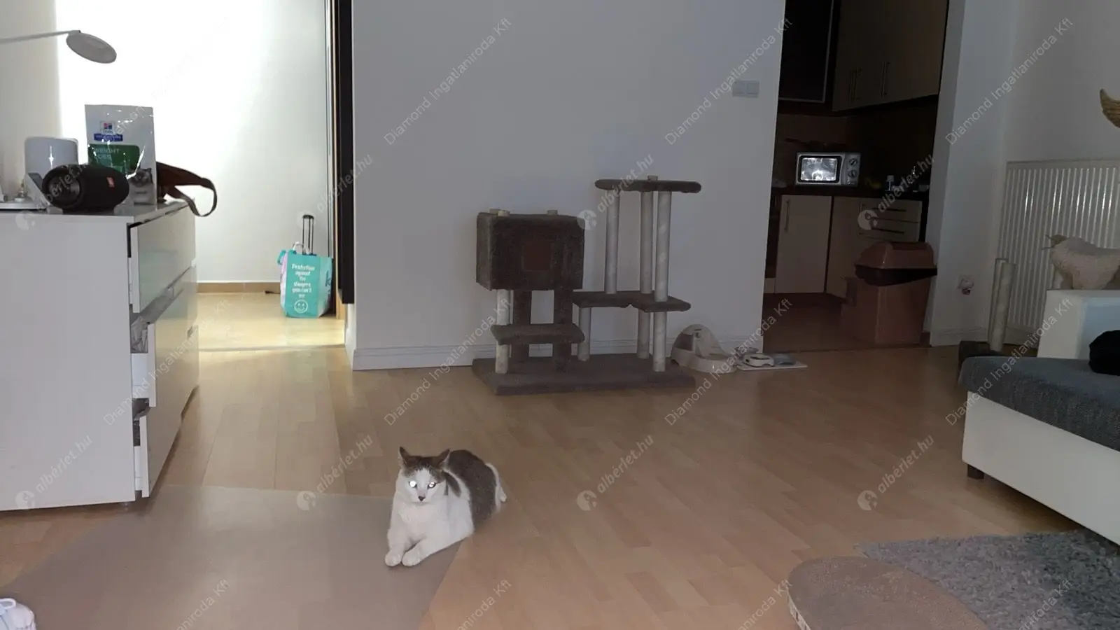 Kiadó albérlet 234000 Ft/hó áron: Budapest, VIII. kerület  Mátyás tér. Mérete: 51 nm, 1 szobás | Alberlet.hu - 6598860