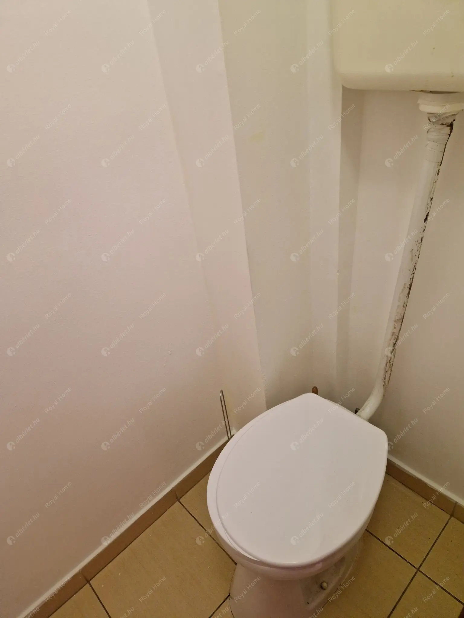 Kiadó albérlet 220000 Ft/hó áron: Budapest, VIII. kerület  Osztály utca. Mérete: 54 nm, 2 szobás | Alberlet.hu - 6638231