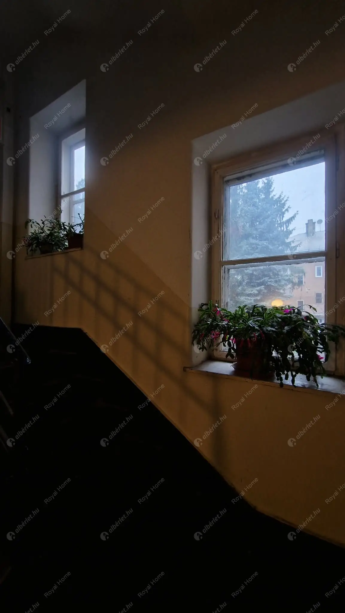 Kiadó albérlet 220000 Ft/hó áron: Budapest, VIII. kerület  Osztály utca. Mérete: 54 nm, 2 szobás | Alberlet.hu - 6638234