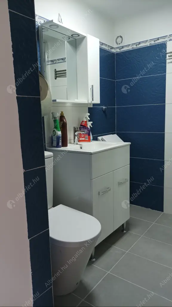 Kiadó albérlet 200000 Ft/hó áron: Budapest, VIII. kerület  Práter utca. Mérete: 36 nm, 1 szobás | Alberlet.hu - 6637229