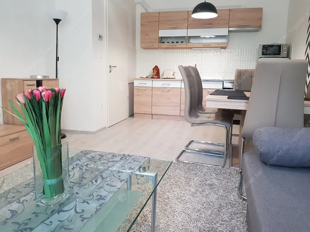 Kiadó albérlet 260000 Ft/hó áron: Budapest, VIII. kerület  Práter utca. Mérete: 43 nm, 2 szobás | Alberlet.hu - 4703294