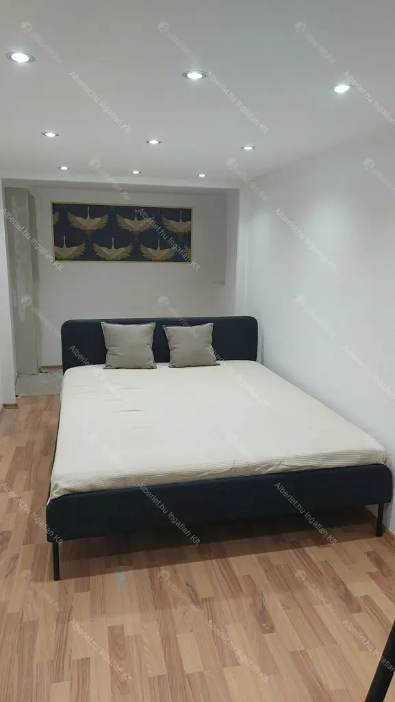 Kiadó albérlet 450000 Ft/hó áron: Budapest, VIII. kerület  Szűz utca. Mérete: 106 nm, 2 szobás | Alberlet.hu - 6686212