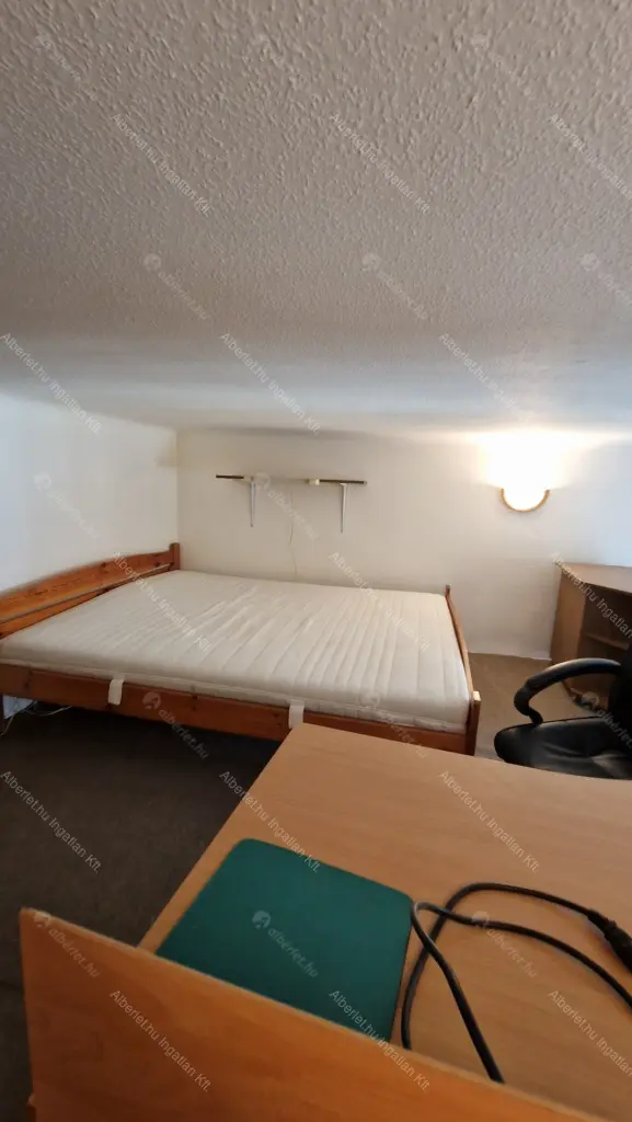 Kiadó albérlet 190000 Ft/hó áron: Budapest, VIII. kerület  Tolnai Lajos utca. Mérete: 26 nm, 1 szobás | Alberlet.hu - 6047721