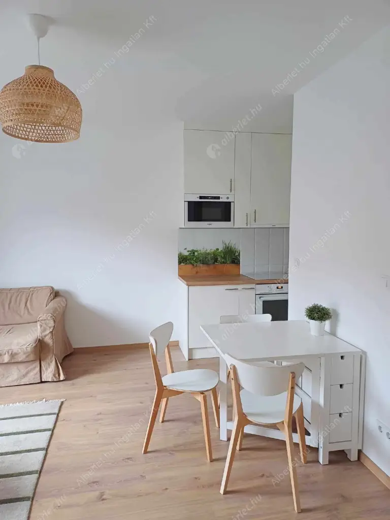 Kiadó albérlet 270000 Ft/hó áron: Budapest, VIII. kerület  Tolnai Lajos utca. Mérete: 43 nm, 2 szobás | Alberlet.hu - 6540987