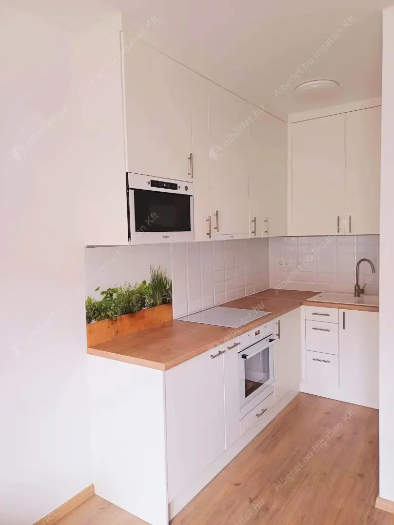 Kiadó albérlet 270000 Ft/hó áron: Budapest, VIII. kerület  Tolnai Lajos utca. Mérete: 43 nm, 2 szobás | Alberlet.hu - 6540991