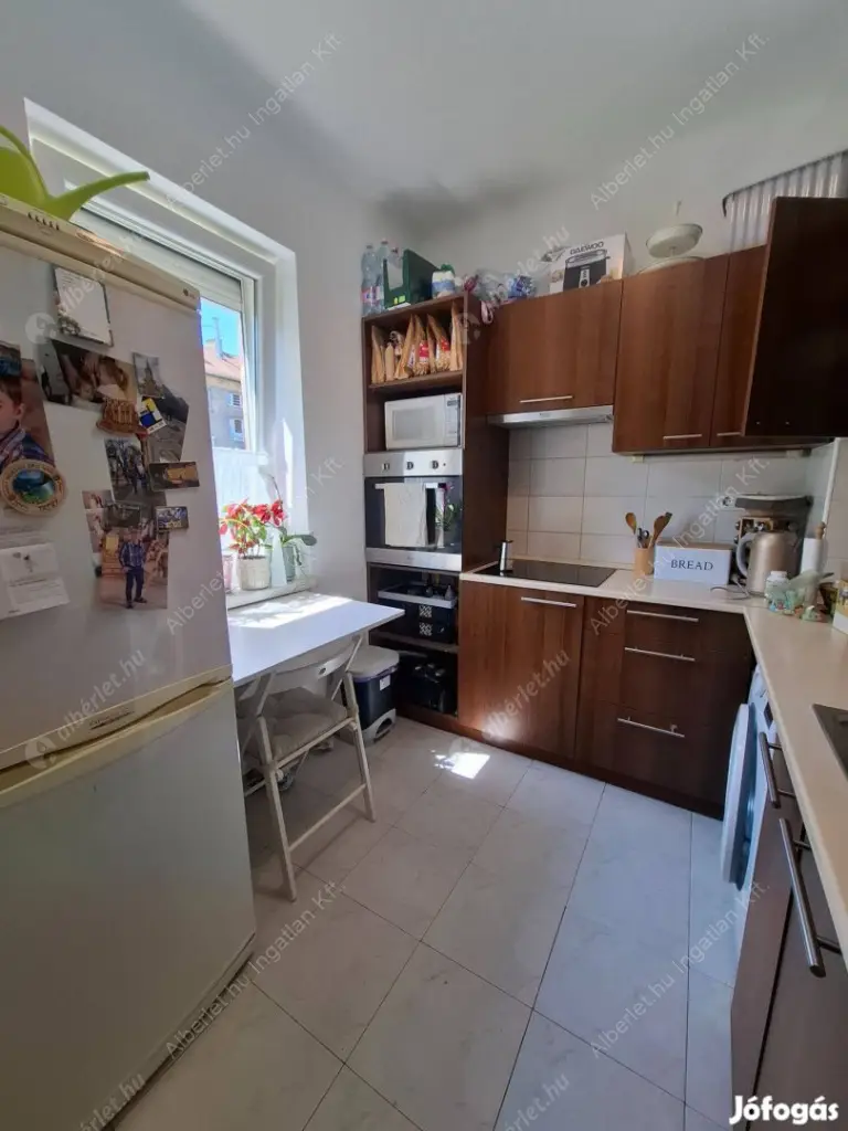 Kiadó albérlet 205000 Ft/hó áron: Budapest, X. kerület  Csilla utca. Mérete: 37 nm, 1 szobás | Alberlet.hu - 6614447