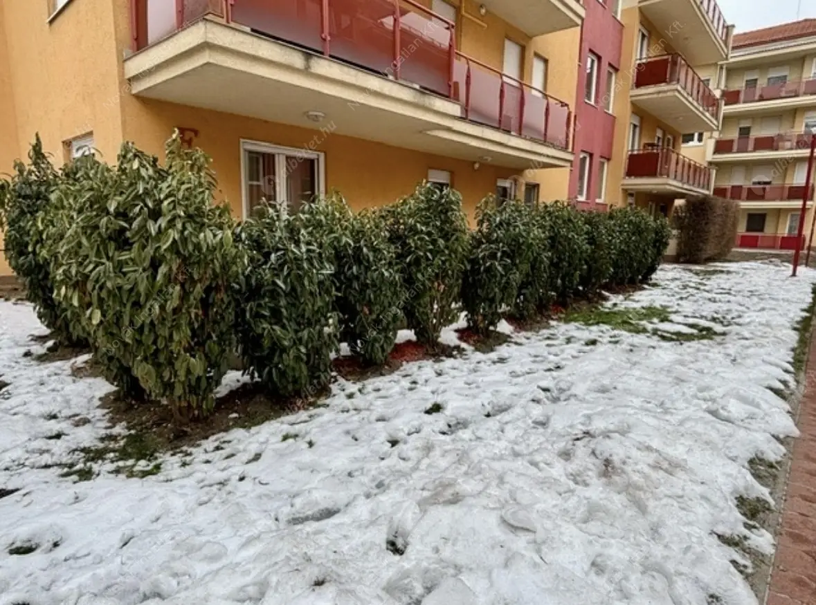 Kiadó albérlet 250000 Ft/hó áron: Budapest, X. kerület  Kismartoni út. Mérete: 50 nm, 2 szobás | Alberlet.hu - 6629502