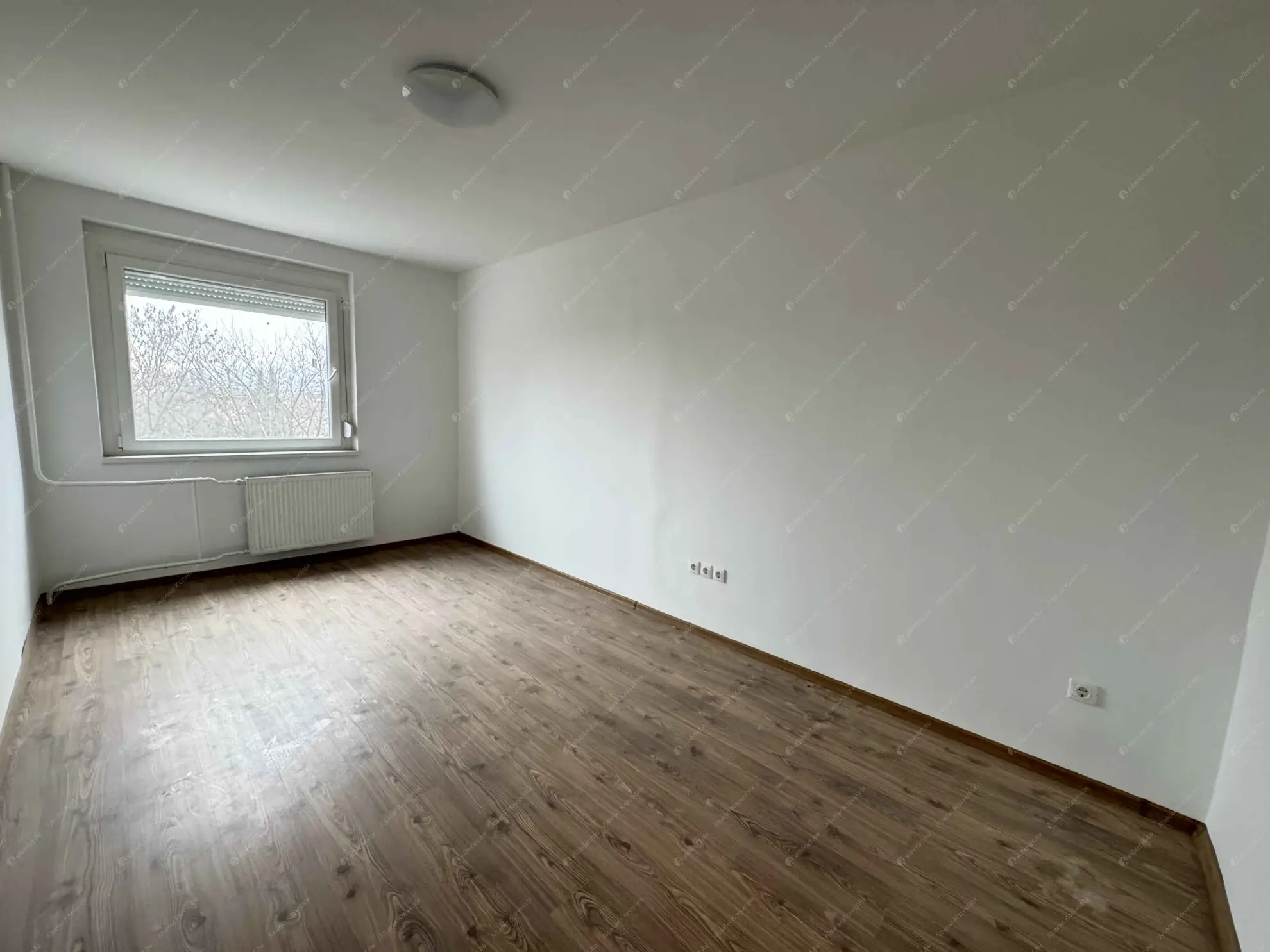 Kiadó albérlet 210000 Ft/hó áron: Budapest, XI. kerület  Albert utca. Mérete: 52 nm, 1 szobás | Alberlet.hu - 6634404