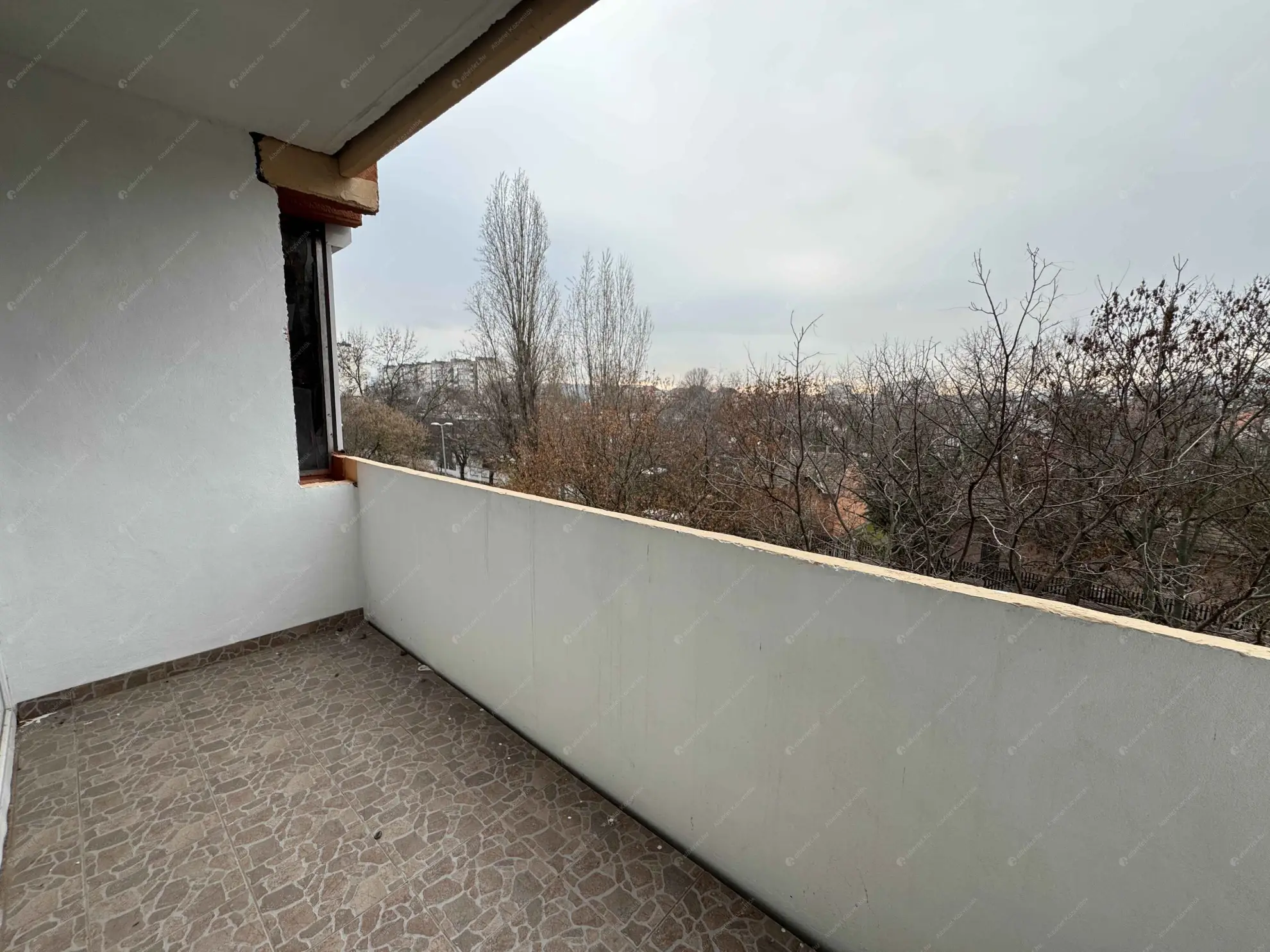 Kiadó albérlet 210000 Ft/hó áron: Budapest, XI. kerület  Albert utca. Mérete: 52 nm, 1 szobás | Alberlet.hu - 6634412