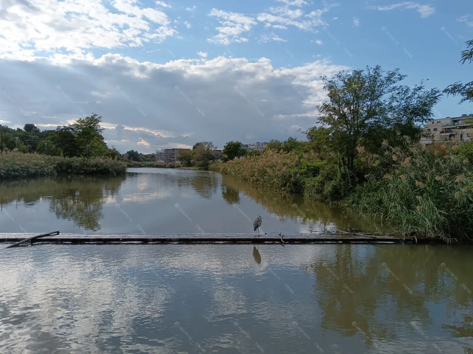 Kiadó albérlet 350000 Ft/hó áron: Budapest, XI. kerület   Ásólúd . Mérete: 55 nm, 2 szobás | Alberlet.hu - 6692322