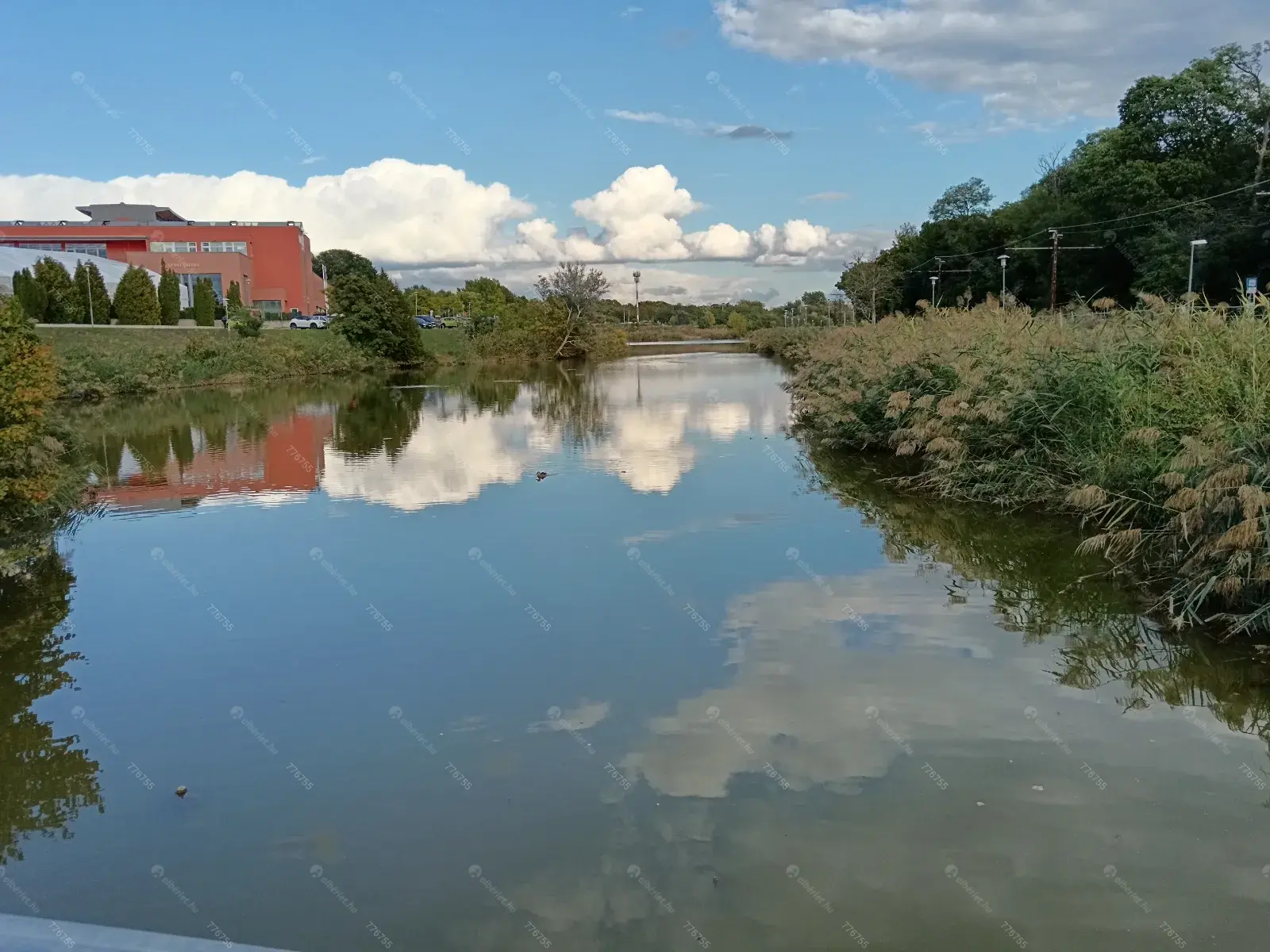 Kiadó albérlet 350000 Ft/hó áron: Budapest, XI. kerület   Ásólúd . Mérete: 55 nm, 2 szobás | Alberlet.hu - 6692323