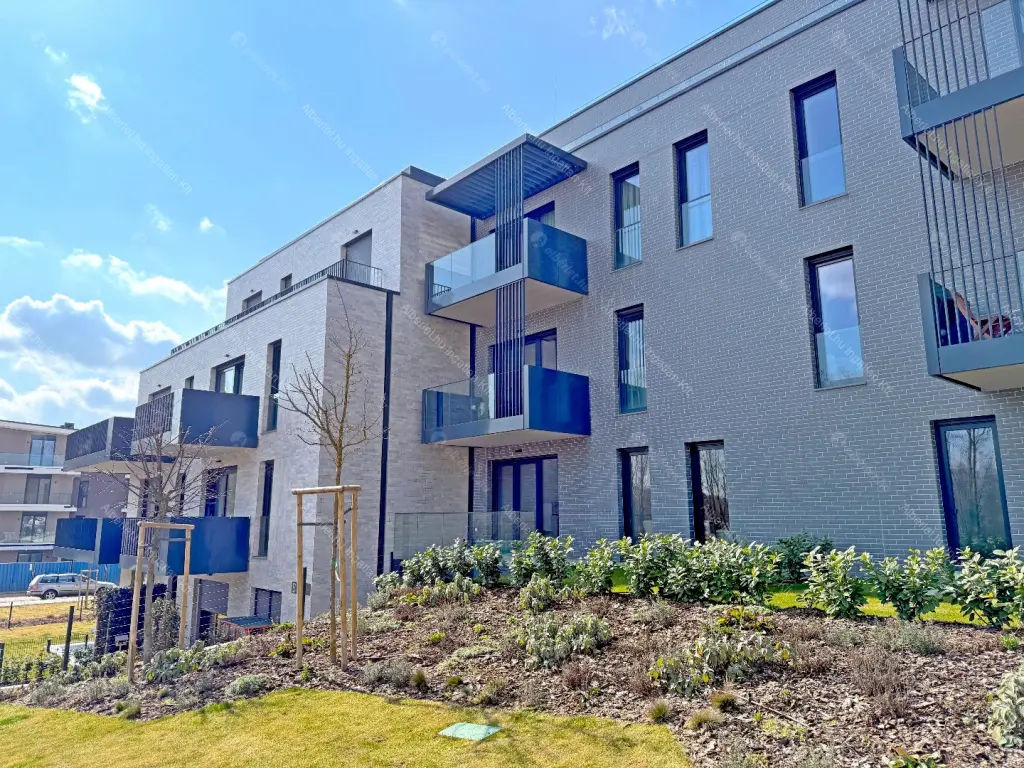 Kiadó albérlet 350000 Ft/hó áron: Budapest, XI. kerület  Ásólúd utca. Mérete: 55 nm, 2 szobás | Alberlet.hu - 6708826