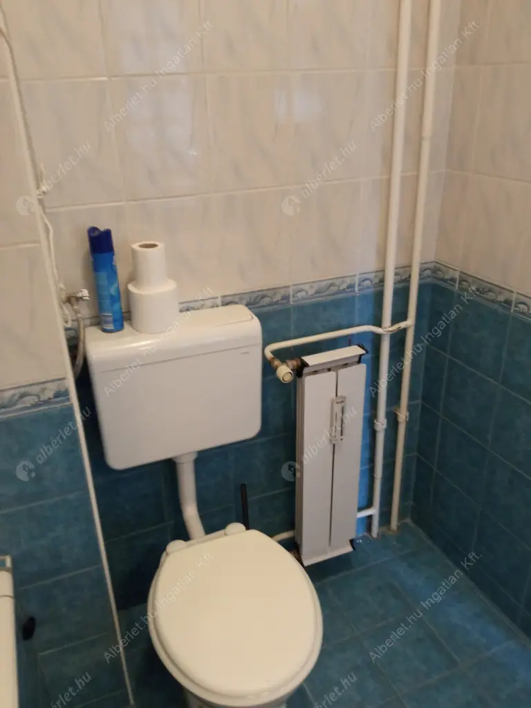 Kiadó albérlet 210000 Ft/hó áron: Budapest, XI. kerület  Baranyai tér. Mérete: 38 nm, 1 szobás | Alberlet.hu - 6610018