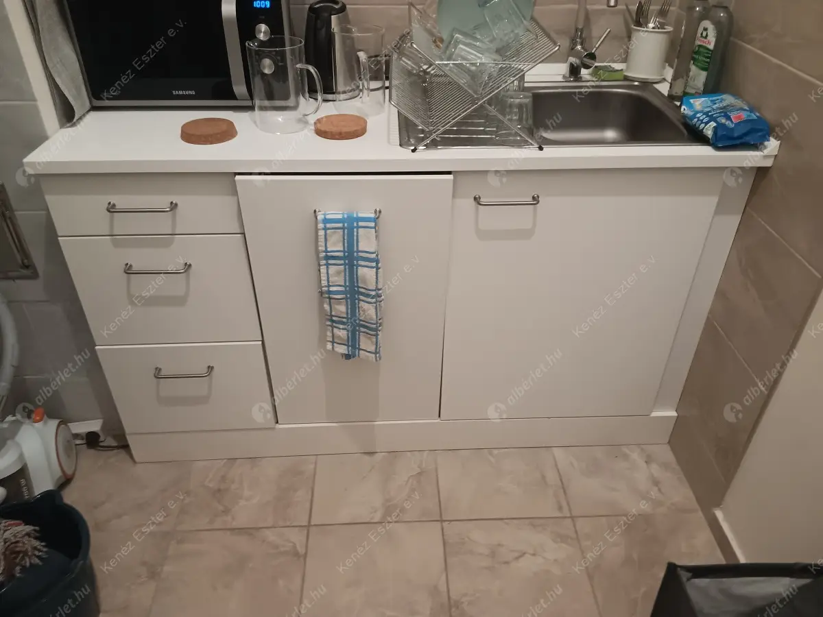 Kiadó albérlet 750000 Ft/hó áron: Budapest, XI. kerület  Bartók Béla út. Mérete: 166 nm, 5 szobás | Alberlet.hu - 6568697