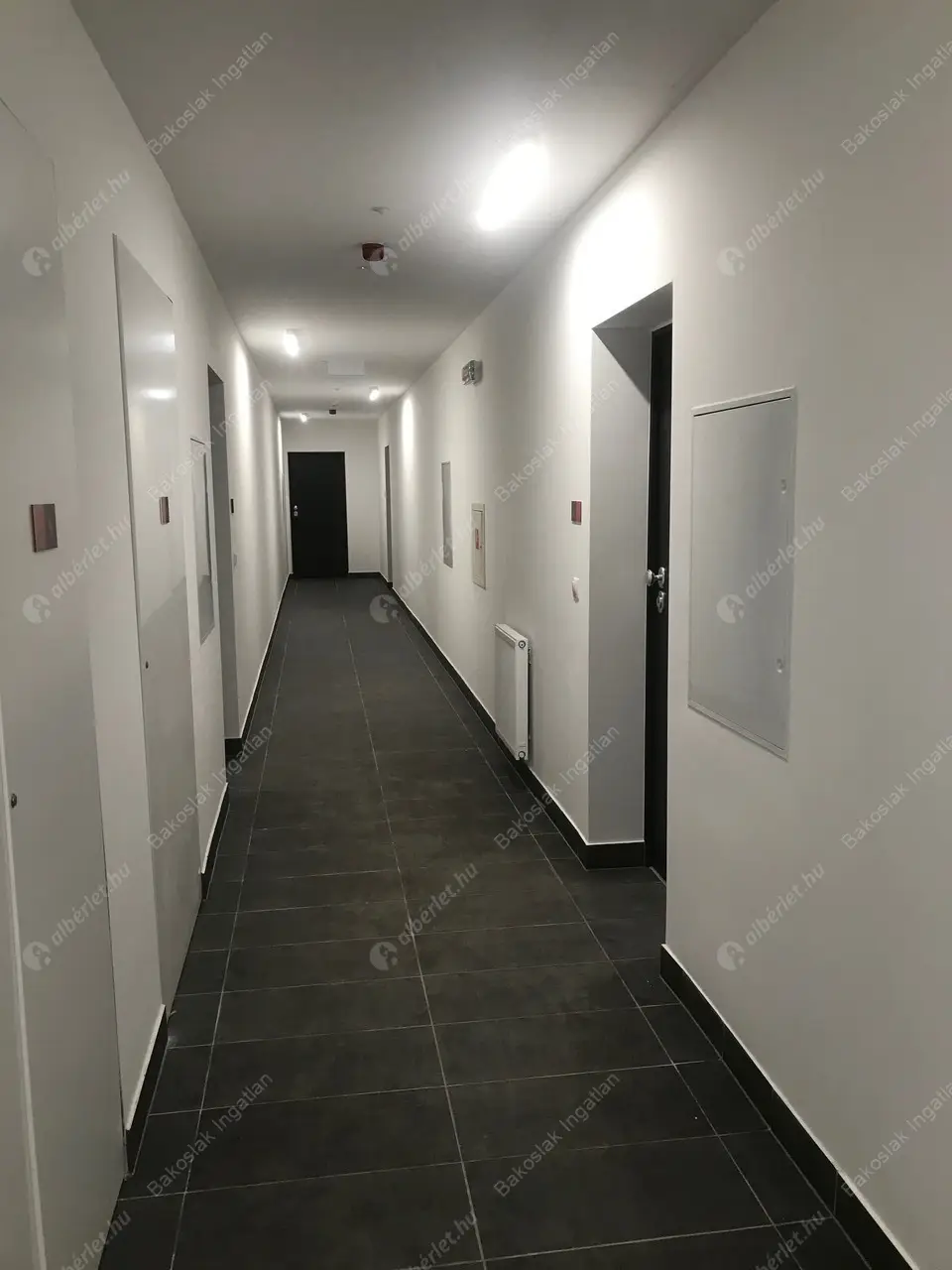 Kiadó albérlet 300000 Ft/hó áron: Budapest, XI. kerület  Bíró László József körút. Mérete: 50 nm, 2 szobás | Alberlet.hu - 5005148