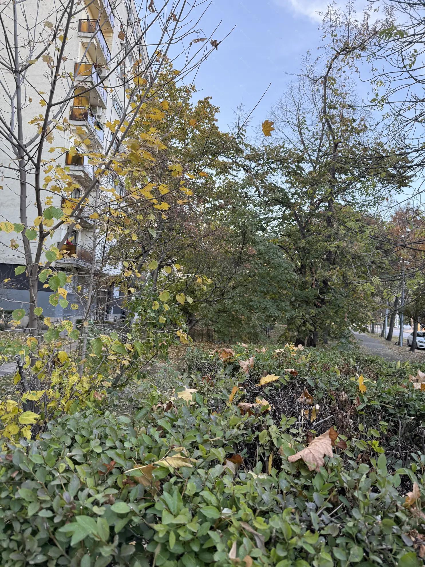 Kiadó albérlet 240000 Ft/hó áron: Budapest, XI. kerület  Bogdánfy utca. Mérete: 57 nm, 1 szobás | Alberlet.hu - 6627452