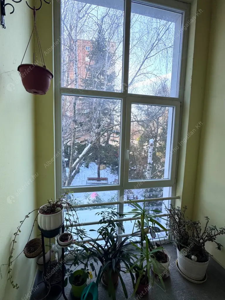 Kiadó albérlet 260000 Ft/hó áron: Budapest, XI. kerület  Csorbai út. Mérete: 50 nm, 2 szobás | Alberlet.hu - 6621307