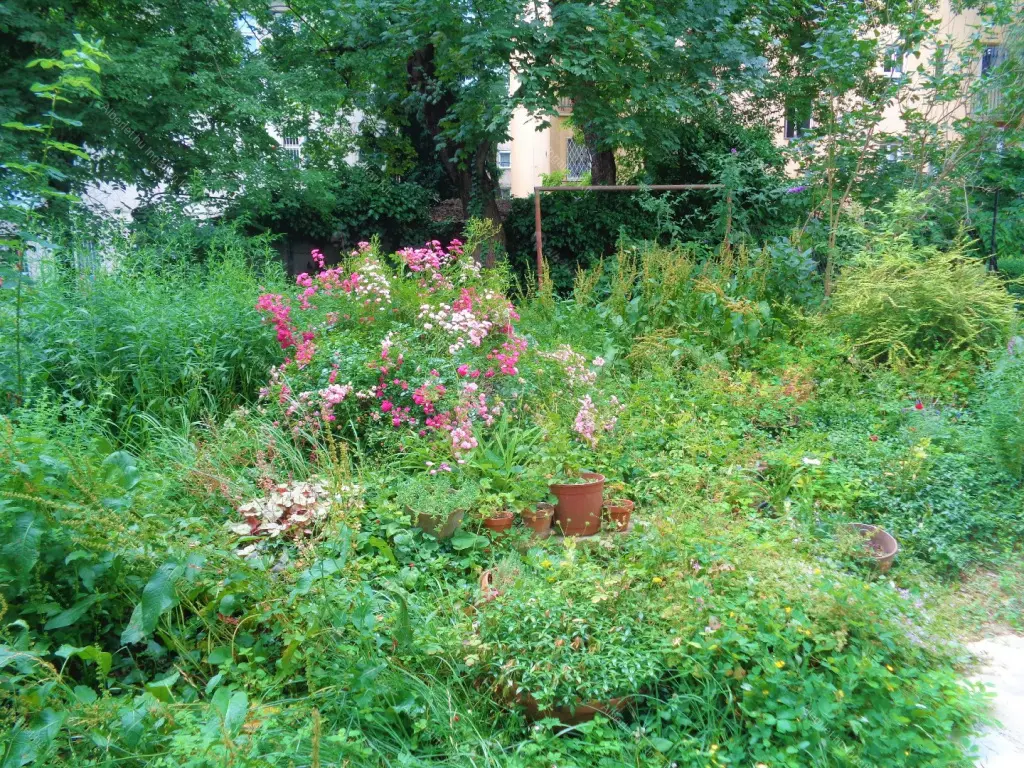 Kiadó albérlet 240000 Ft/hó áron: Budapest, XI. kerület  Dávid Ferenc utca. Mérete: 50 nm, 1 szobás | Alberlet.hu - 6667418