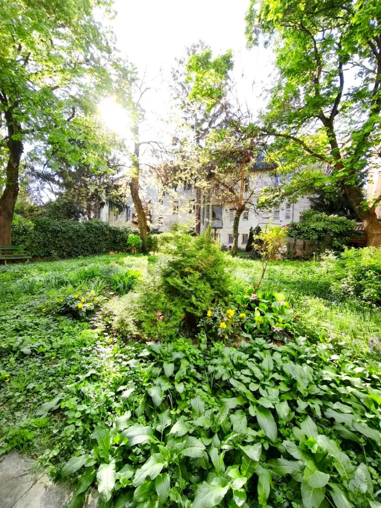 Kiadó albérlet 220000 Ft/hó áron: Budapest, XI. kerület  Dávid Ferenc utca. Mérete: 50 nm, 1 szobás | Alberlet.hu - 6707110