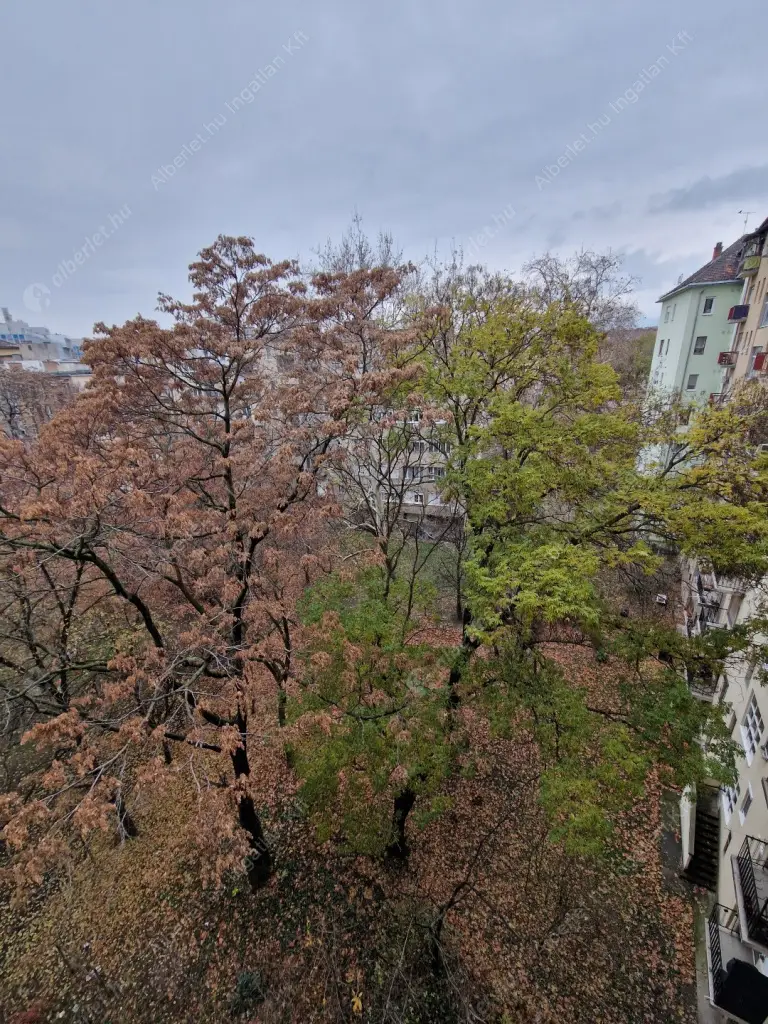 Kiadó albérlet 290000 Ft/hó áron: Budapest, XI. kerület  Egry József utca. Mérete: 50 nm, 1 szobás | Alberlet.hu - 6596983