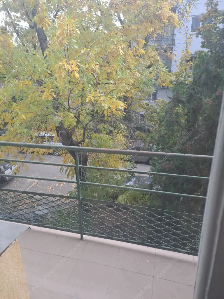 Kiadó albérlet 300000 Ft/hó áron: Budapest, XI. kerület  Elek utca. Mérete: 83 nm, 3 szobás | Alberlet.hu - 6596137