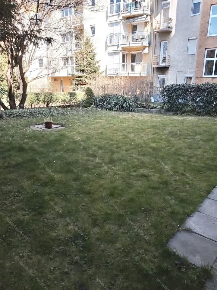 Kiadó albérlet 260000 Ft/hó áron: Budapest, XI. kerület  Etele tér. Mérete: 58 nm, 2 szobás | Alberlet.hu - 6668093