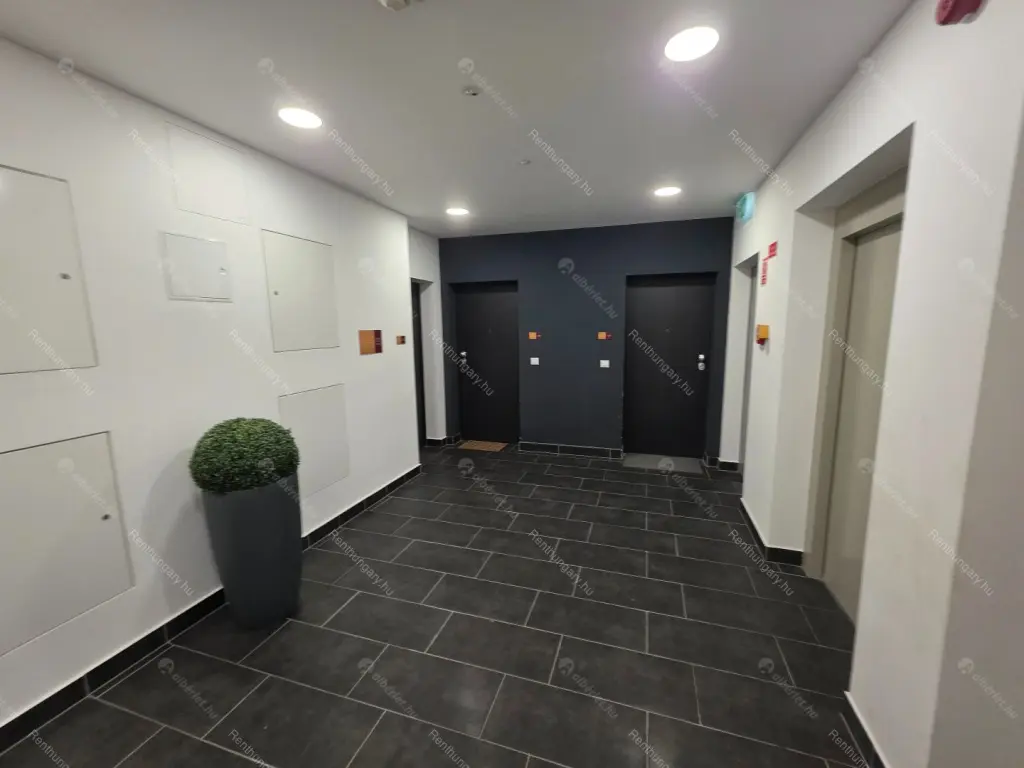 Kiadó albérlet 500000 Ft/hó áron: Budapest, XI. kerület  Garda utca. Mérete: 75 nm, 2 szobás | Alberlet.hu - 6640299