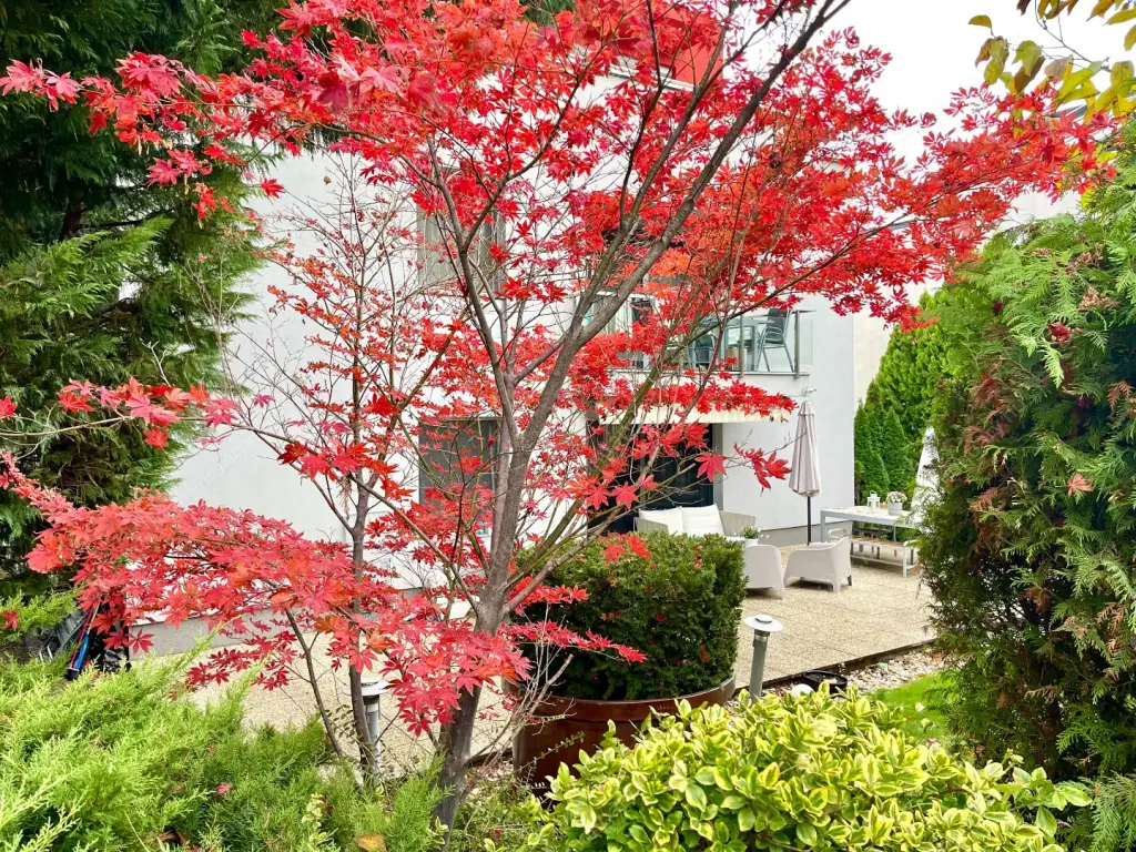 Kiadó albérlet 529000 Ft/hó áron: Budapest, XI. kerület  Gazdagréti út. Mérete: 98 nm, 3 szobás | Alberlet.hu - 6173895