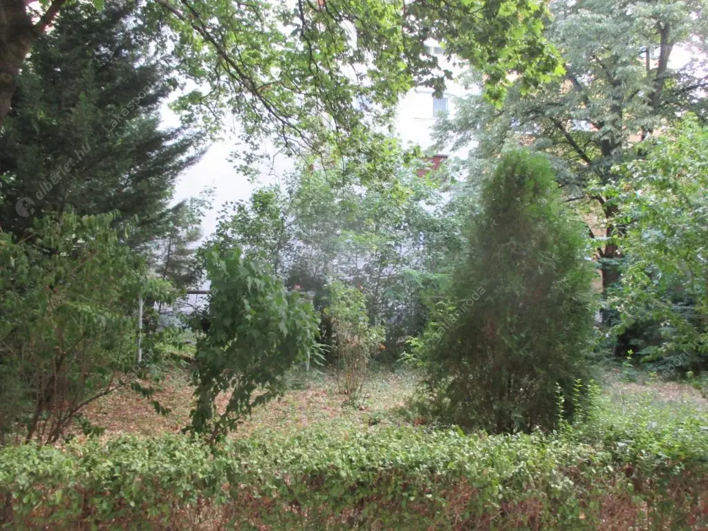 Kiadó albérlet 240000 Ft/hó áron: Budapest, XI. kerület  Kanizsai utca. Mérete: 50 nm, 1 szobás | Alberlet.hu - 6569738