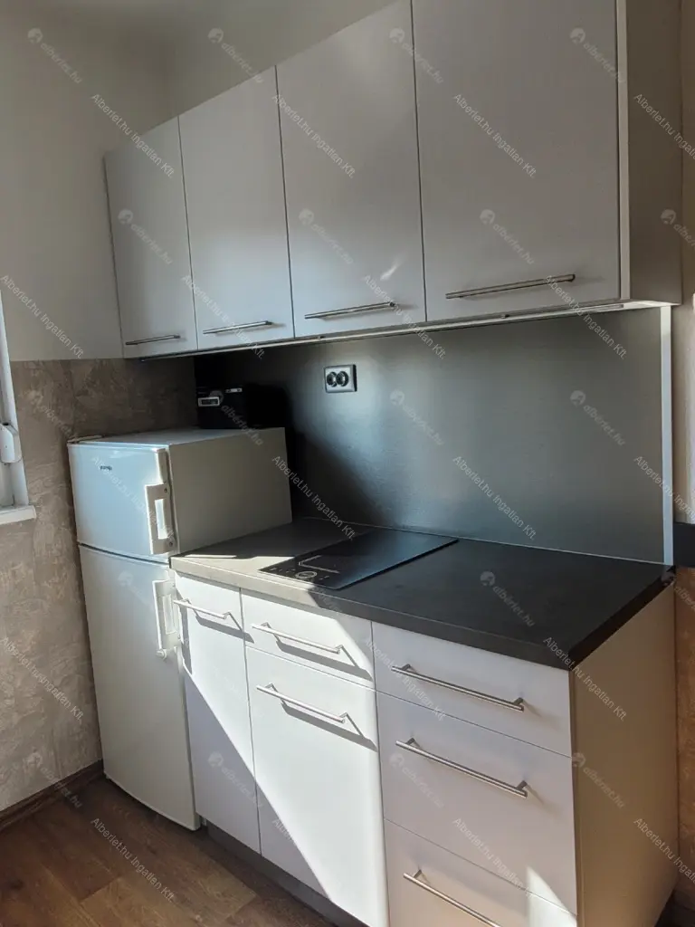 Kiadó albérlet 195000 Ft/hó áron: Budapest, XI. kerület  Karinthy Frigyes út. Mérete: 42 nm, 1 szobás | Alberlet.hu - 6686218