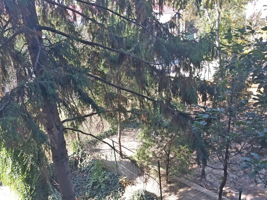 Kiadó albérlet 290000 Ft/hó áron: Budapest, XI. kerület  Köbölkút utca. Mérete: 65 nm, 2 szobás | Alberlet.hu - 6048326