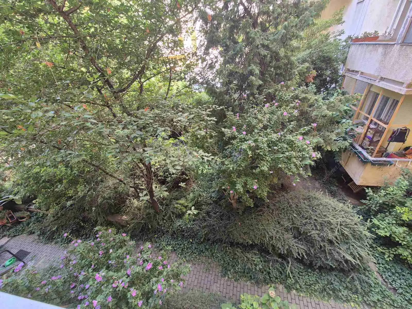 Kiadó albérlet 190000 Ft/hó áron: Budapest, XI. kerület  Lágymányosi utca. Mérete: 55 nm, 2 szobás | Alberlet.hu - 6532736