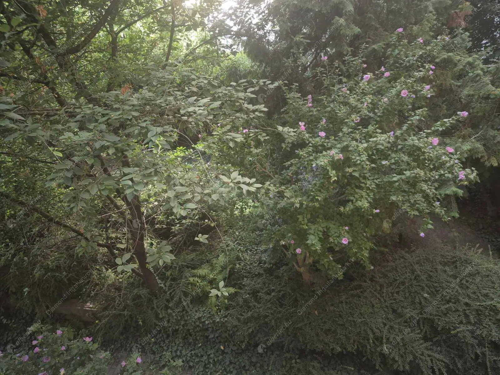 Kiadó albérlet 190000 Ft/hó áron: Budapest, XI. kerület  Lágymányosi utca. Mérete: 55 nm, 2 szobás | Alberlet.hu - 6532737