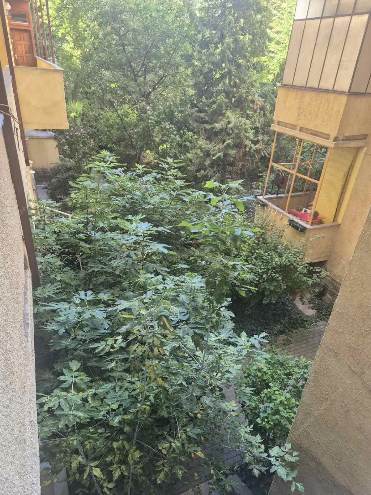 Kiadó albérlet 190000 Ft/hó áron: Budapest, XI. kerület  Lágymányosi utca. Mérete: 55 nm, 2 szobás | Alberlet.hu - 6532799