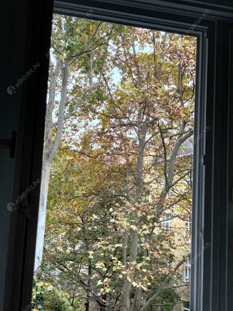 Kiadó albérlet 450000 Ft/hó áron: Budapest, XI. kerület  Lágymányosi utca. Mérete: 80 nm, 2 szobás | Alberlet.hu - 6579788