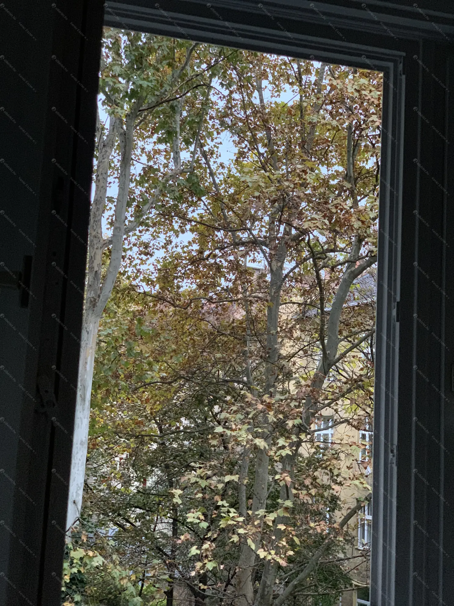 Kiadó albérlet 450000 Ft/hó áron: Budapest, XI. kerület  Lágymányosi utca. Mérete: 80 nm, 2 szobás | Alberlet.hu - 6580111