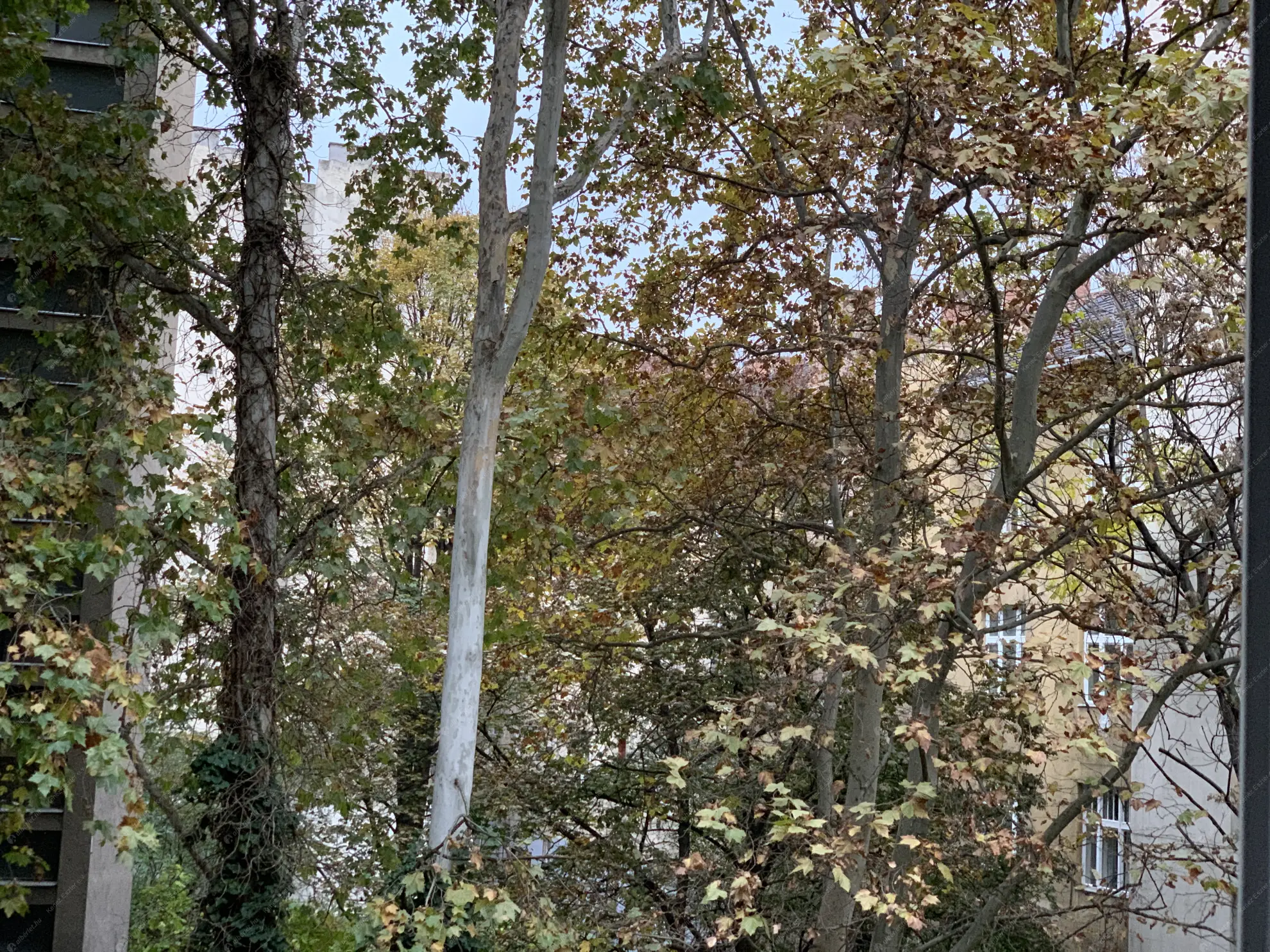 Kiadó albérlet 0 Ft/hó áron: Budapest, XI. kerület  Lágymányosi utca. Mérete:  nm, 1 szobás | Alberlet.hu - 6580110