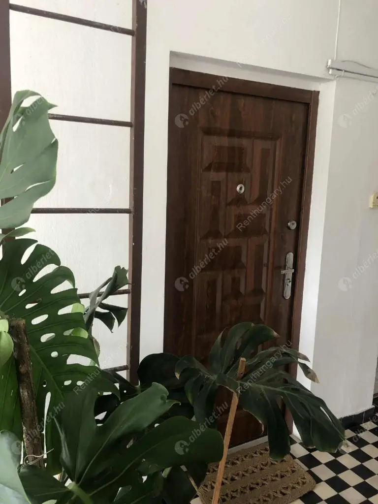 Kiadó albérlet 280000 Ft/hó áron: Budapest, XI. kerület  Ménesi út. Mérete: 65 nm, 2 szobás | Alberlet.hu - 6579984