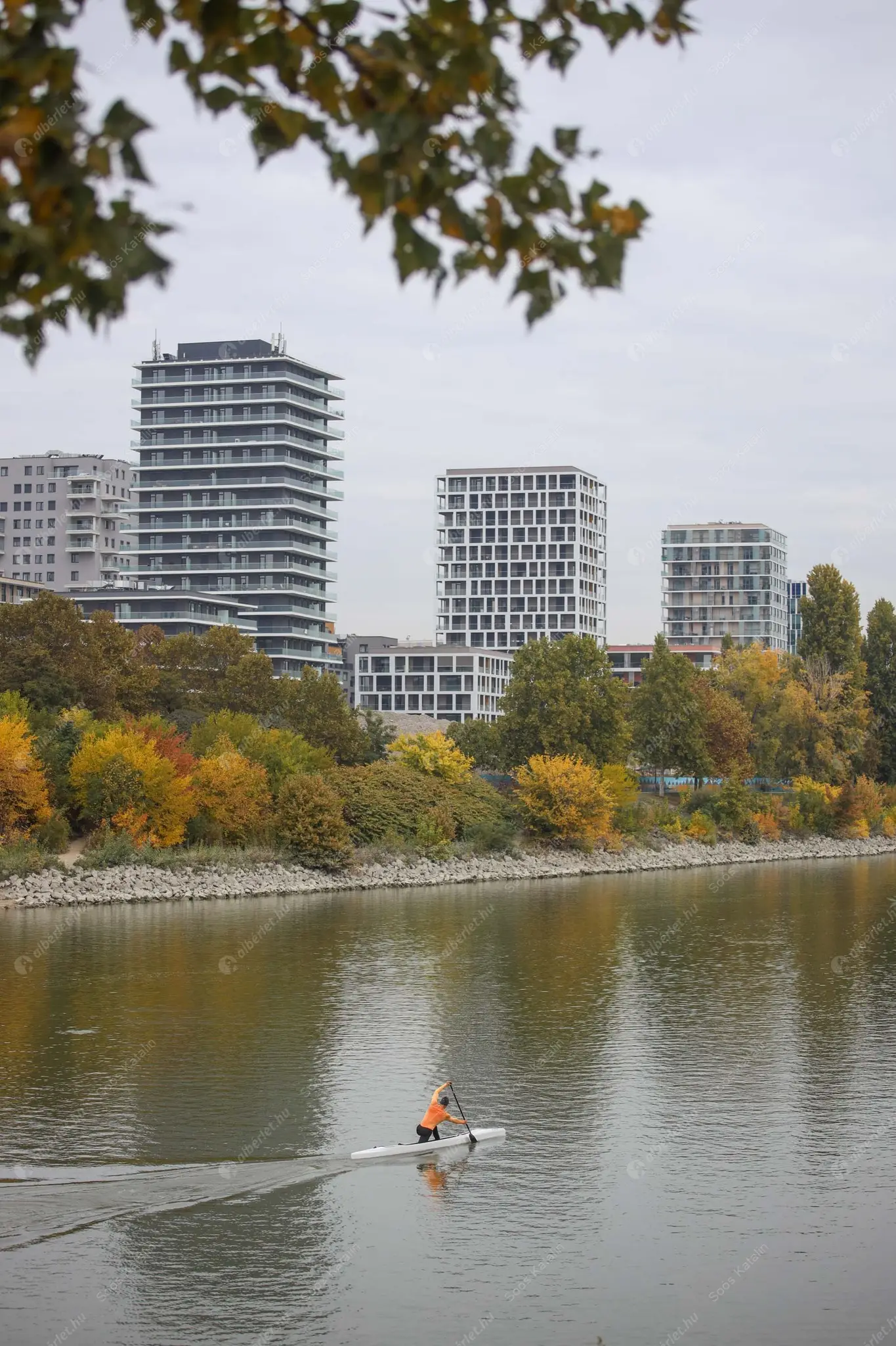Kiadó albérlet 270000 Ft/hó áron: Budapest, XI. kerület  Napkelte utca. Mérete: 35 nm, 1 szobás | Alberlet.hu - 6605011