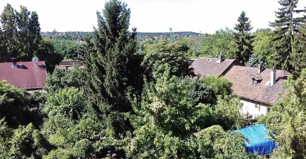 Kiadó albérlet 265000 Ft/hó áron: Budapest, XI. kerület  Olajbogyó utca. Mérete: 45 nm, 2 szobás | Alberlet.hu - 6690619