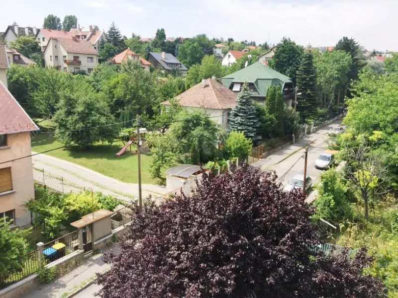 Kiadó albérlet 440000 Ft/hó áron: Budapest, XI. kerület  Rahó utca. Mérete: 75 nm, 3 szobás | Alberlet.hu - 6592595